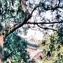 Beijing, China - Summer Palace